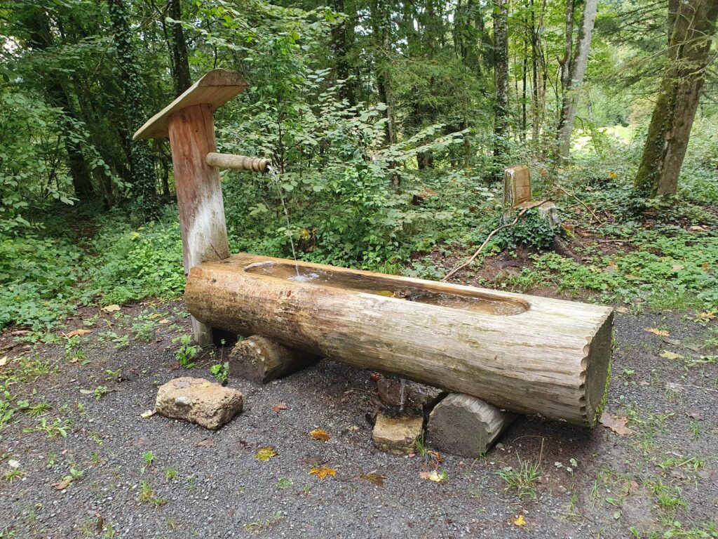 WVGH: 20220926 165530