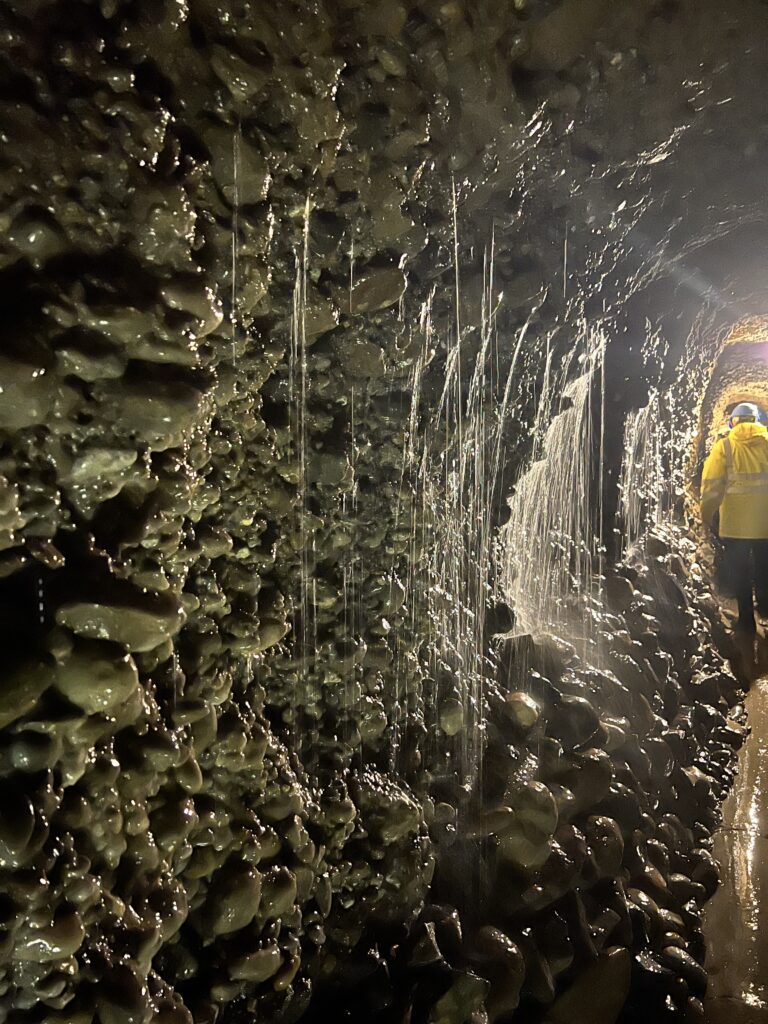 WVGH: rundgang kohlboden 2080 1